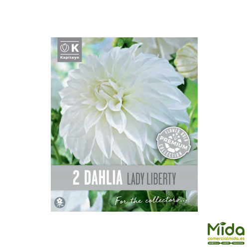 Kapiteyn Bulbos de DAHLI ADECORATIVA LADY LIBERTY