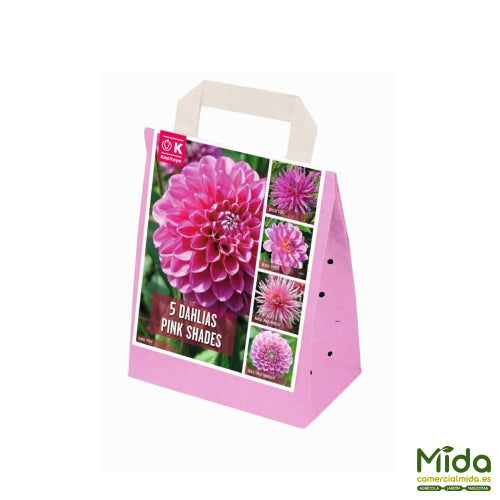 Bolsa de Bulbos Combinados de DAHLIAS con Tonos Rosados