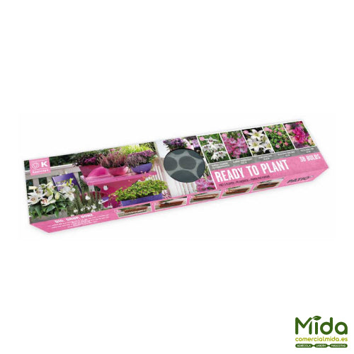 Bandeja de Bulbos Combinados Listos para Plantar con Tonos Rosas y Blancos