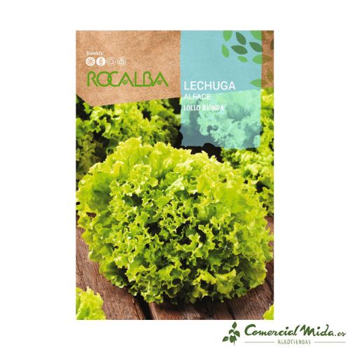 Rocalba Semillas de Lechuga Lollo Bionda