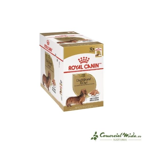 Caja Royal Canin Dachshund comida húmeda para Teckel (A partir de 10 meses) - 12x85gr