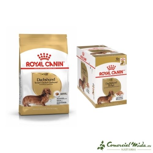 Royal Canin Dachshund comida húmeda para Teckel (A partir de 10 meses) - Caja (12 sobres) + Saco de 1,5Kg
