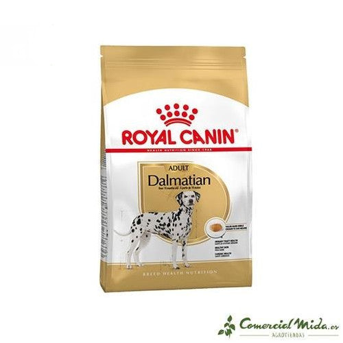 ROYAL CANIN DALMATIAN ADULT