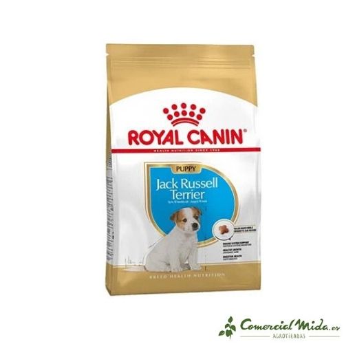 ROYAL CANIN JACK RUSSELL TERRIER JUNIOR