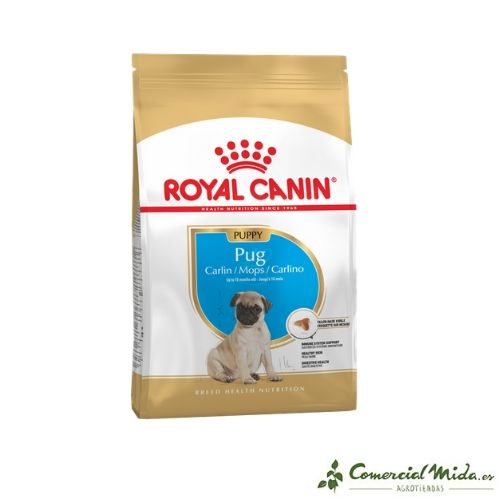 ROYAL CANIN PUG JUNIOR