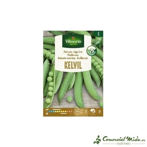 Semillas guisantes Kelvil de mata baja Vilmorin