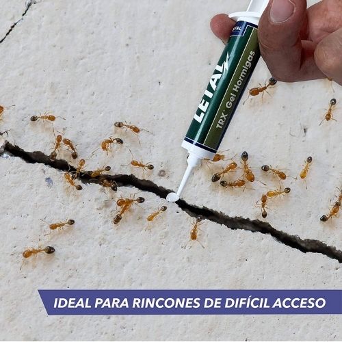 Insecticida Gel Hormigas Grietas